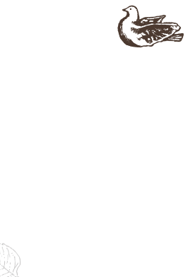 バラエティ豊富で選ぶのも楽しい